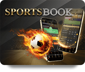 Discover the Popularity of Dafabet Game Bài Hot Among Players